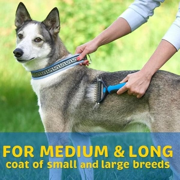 🎁Pet Safe Dematting Comb