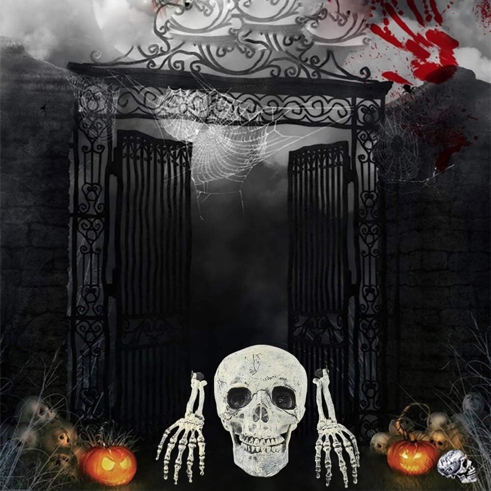 Halloween decorative skulls